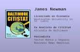 Newman Citi Stat Presentation   20080708   EspañOl   Seminario Puentes Uc