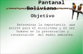 Pantanal boliviano presentacion