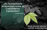 Es sustentable ambientalmente el crecimiento capitalista?