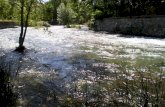 El rio y su entorno