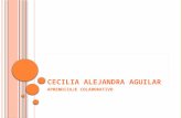 Cecilia alejandra aguilar aprendizaje colaborativo
