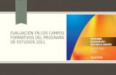 Evaluacion por campos Formativos 4°  Primaria Plan 2011
