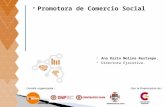 Panel 4.1 Comercializacion social de productos microempresariales manufacturados