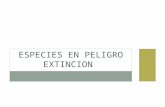 Especies en peligro extincion