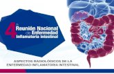 Aspectos radiológicos de la enfermedad inflamatoria intestinal reunión nal eii.pptx