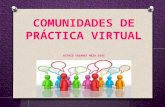 Plan de accion para crear una comunidad de práctica virtual