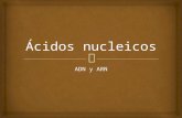 áCidos nucleicosm
