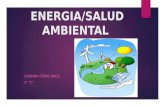 tema transversal energia/salud ambiental