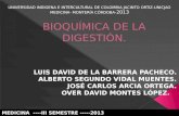 Bioquímica de la digestión, PROCESO DE LA DIGESTION DR. DE LA BARRERA LUIS