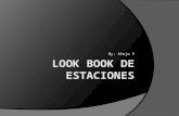 Look book de estaciones