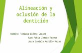 Octavo seminario alineación y oclusión de la dentición.