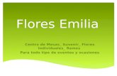 Flores emilia