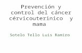 Prevención y control del cáncer cérvico uterinico  y mama