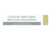 Colegio nacional nicolas esguerra sdg
