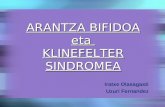 Arantza bifidoa  eta klinefelter_sindromea