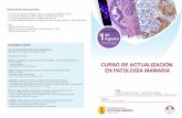 Curso de Patología Mamaria