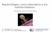 Fagos como alternativa a los antibióticos