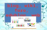 Aclaracion basicas de blog,wiki,foro,web2.0