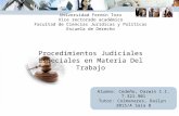 Procedimientos Judiciales Especiales en Materia Del Trabajo