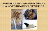 Bioetica animales-laboratorio