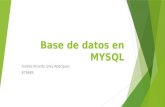 Base de datos en mysql