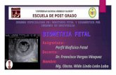 Biometria Fetal Mg. Obsta. Wide León Lobo