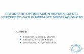 ESTUDIO DE OPTIMIZACION HIDRAULICA DEL VERTEDERO GATUN MEDIANTE MODELACION CFD