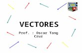 Vectore ss