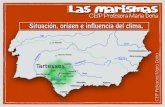Las marismas: situación, origen e influencia del clima.