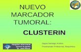 Clusterin, nuevo marcador tumoral - Agosto 2013