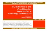 Cuaderno de Auditoria, Revisión y Atestiguamiento (23/01/2014)