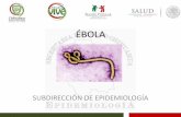 1. panorama ebola 15 10 2014