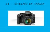 RSF E04- REVELADO EN CÁMARA