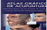 atlas grafico_de_acupuntura