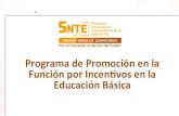 Programa de promoción en la función por incentivos 2015