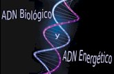ADN Biologico y Energetico