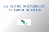LOS MEJORES OPORTUNIDADES DE EMPLEO EN MEXICO