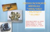 Intoxicacion por metales mercurio plomo y arsenico