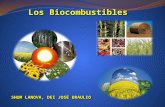 Los biocombustibles
