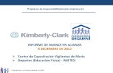 Informe avance kimberly clark.pdf a diciembre