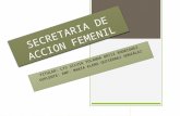 Secretaria de accion femenil informe de actividades