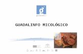 Presentacion guadalinfo micológico