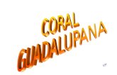 Coral guadalupana
