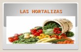 Las hortalizas 2