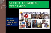 Sector economico terciario