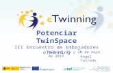 Potenciar TwinSpace