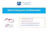"Networking para profesionales"
