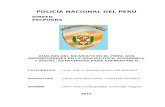 Análisis del sicariato en el perú