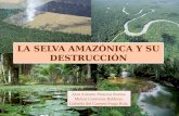 La Selva Amazónica y su destrucción