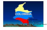 Colombia ; PRESIDENTES, PARTIDOS , GRUPO DE PRESION Y GLOBALIZACION